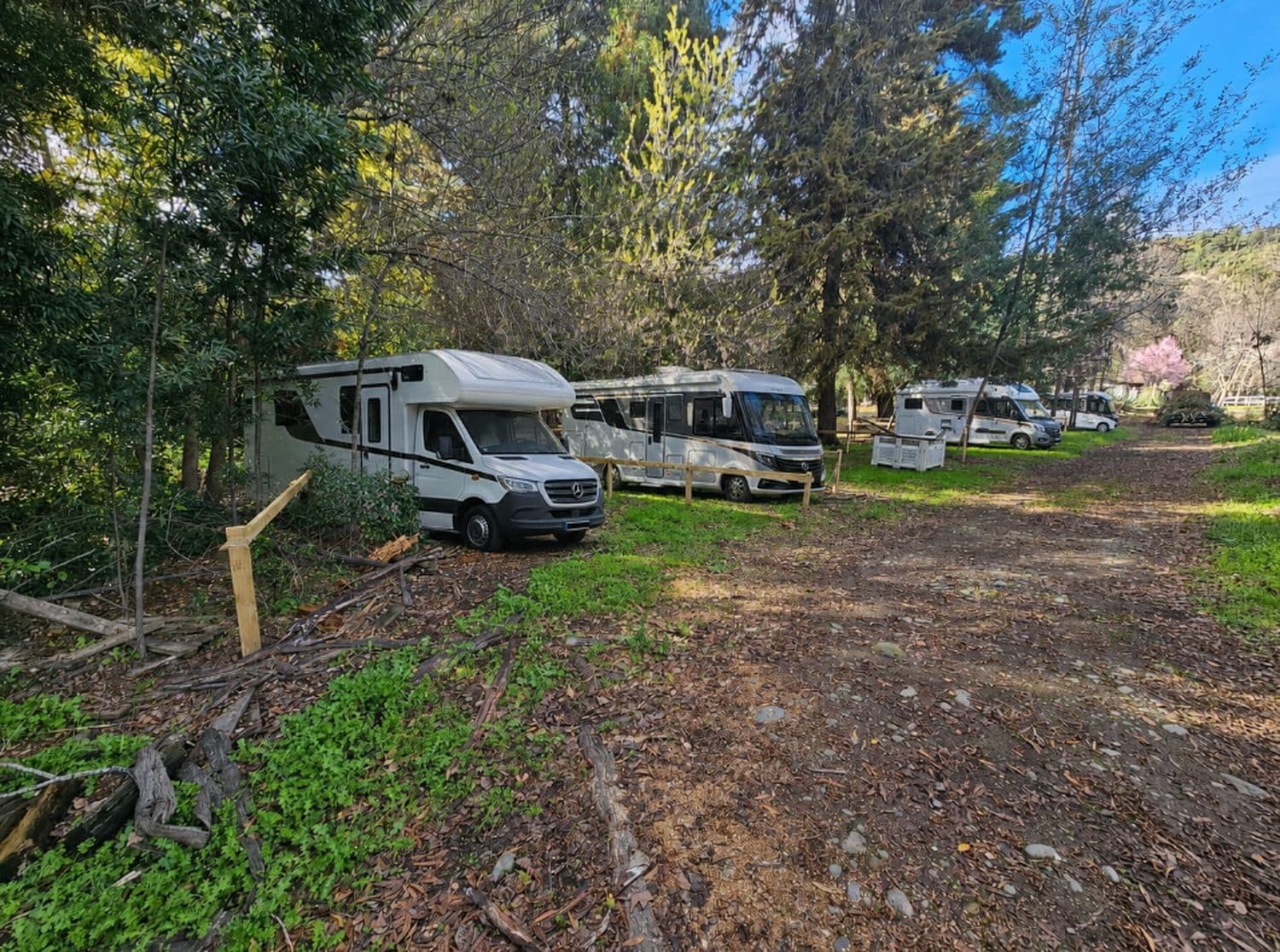 Motorhomes instalados entre árboles en sitios delimitados con cerco de madera